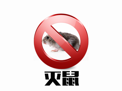 滅鼠服務(wù)