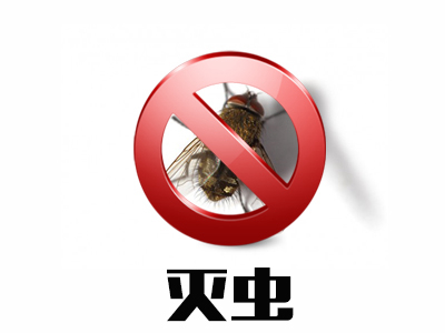 滅蠅服務(wù)