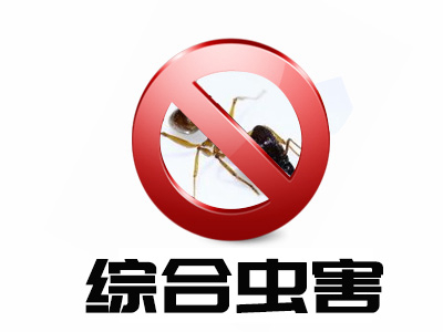 綜合蟲害服務(wù)